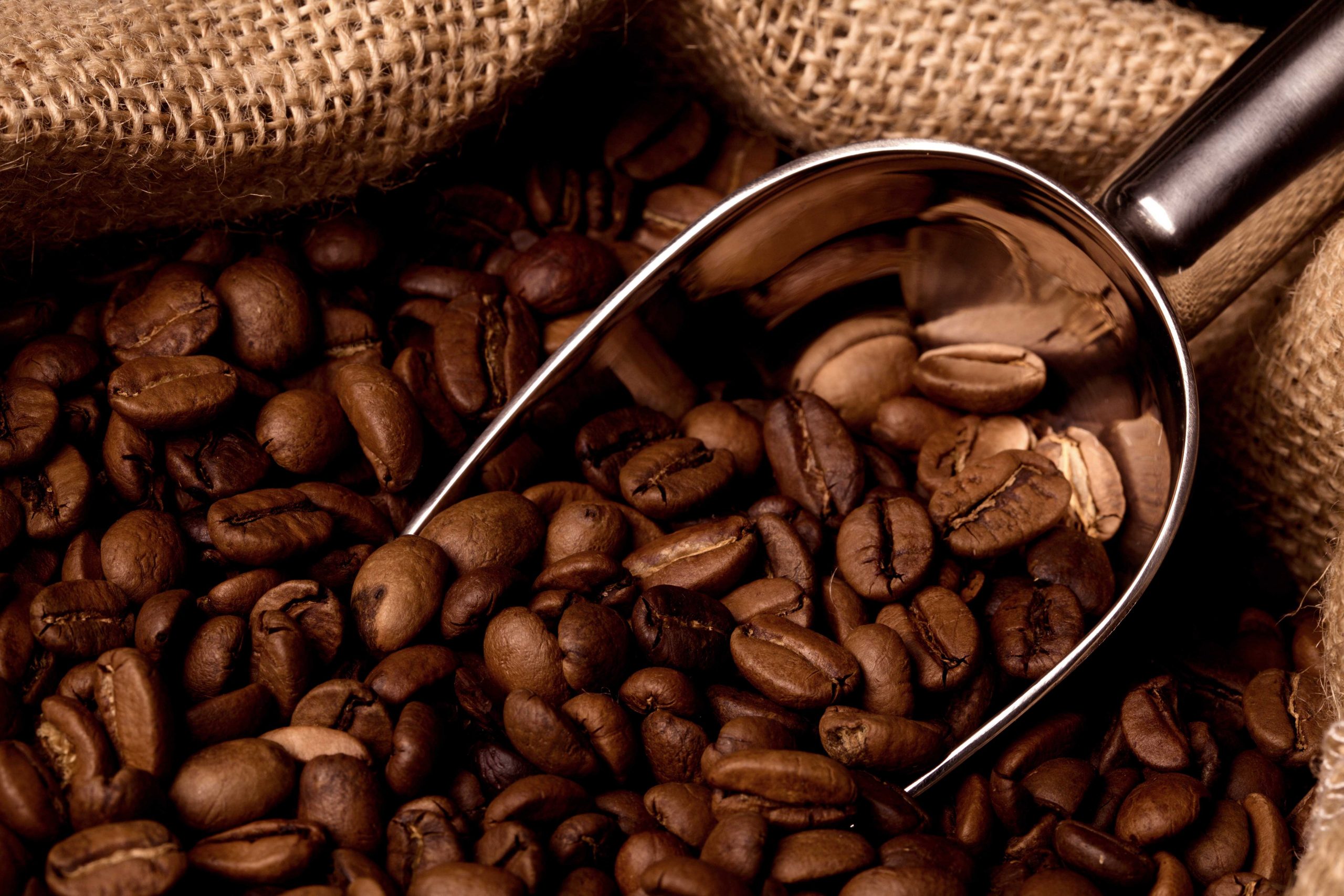Kahvenin Keyfi: Tadı, Kültürü ve Sağlığa Etkileri