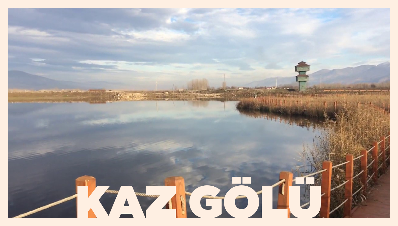 Bir Kuş Cenneti: Kaz Gölü