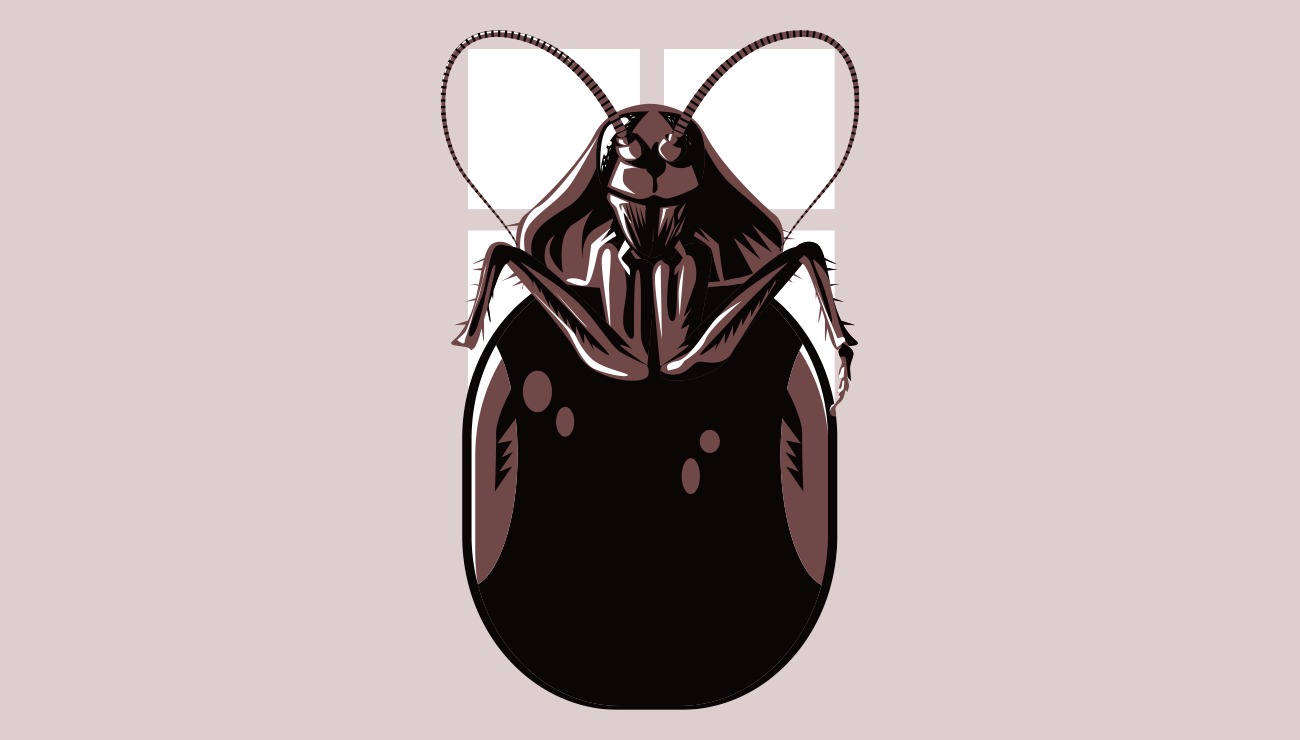 Kafka'nın Böceği: Gregor Samsa