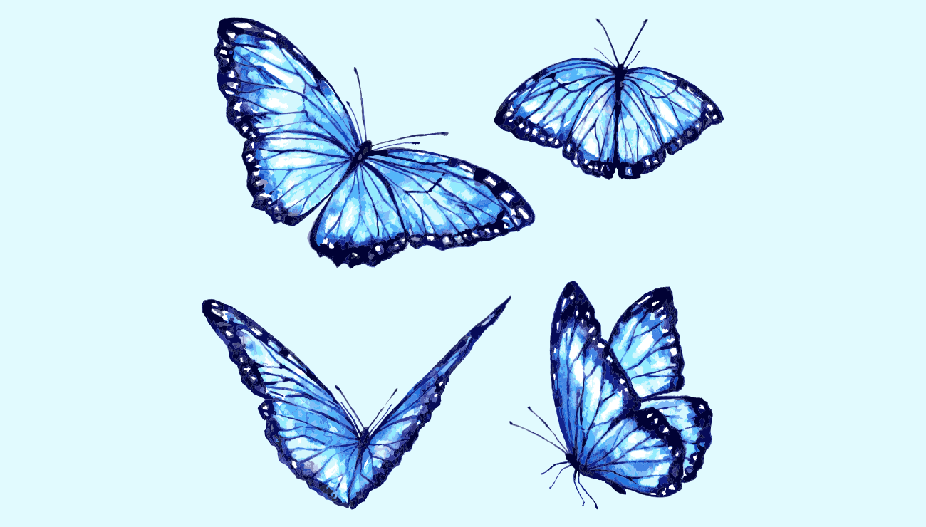 Mavi Kelebeklerin Ve Ölüm Çiçeklerinin Sırrı