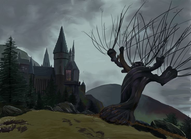 Hogwarts Sırları: Şamarcı Söğüt Neden Dikildi?