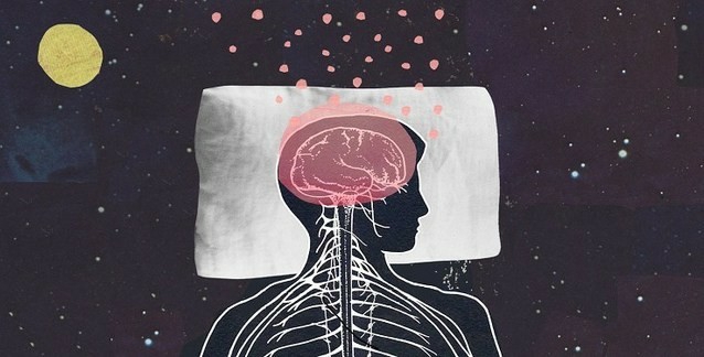 Bir Beyin Fonksiyonu: Uyumak