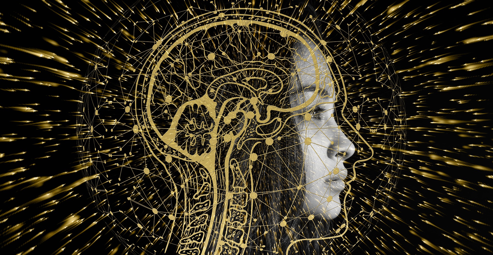 Nöroplastisite: Beynin Değişkenliği ve Uyarlanabilirliği