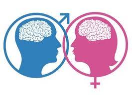 Kadın Beyni ve Erkek Beyni Arasındaki Farklar Nelerdir?
