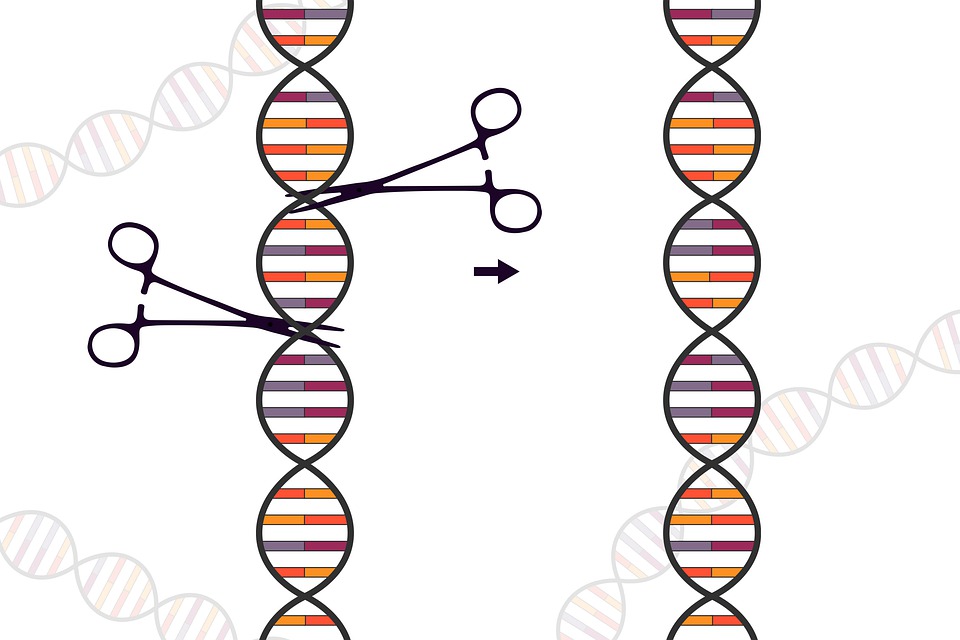 DNA’nızı Kesen Bir Makas: CRISPR-Cas9 Teknolojisi