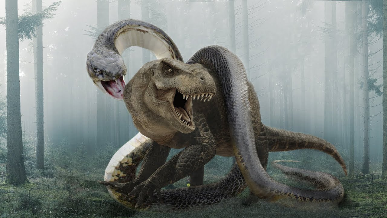 Змеи древности. ТИТАНОБОА змея монстр. ТИТАНОБОА против динозавра. Древняя змея ТИТАНОБОА. Динозавр ТИТАНОБОА.