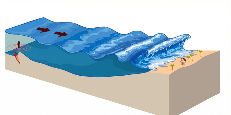Sel ve Tsunami Anında Yapabilecekleriniz 