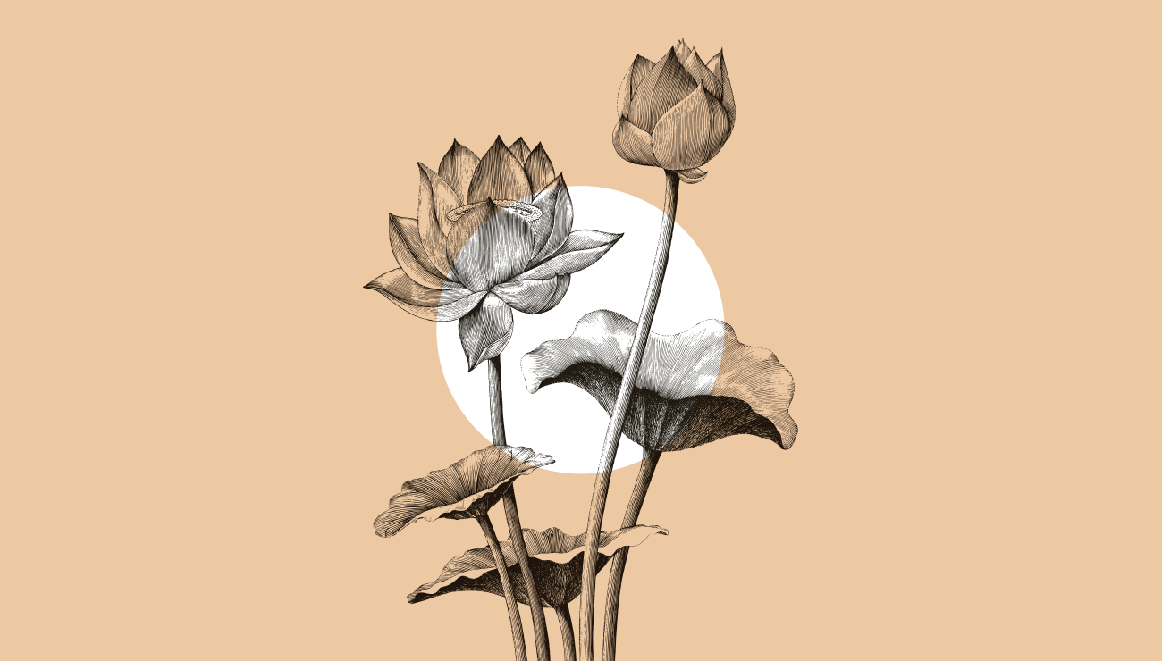 Efsanelerin Çiçeği: Lotus