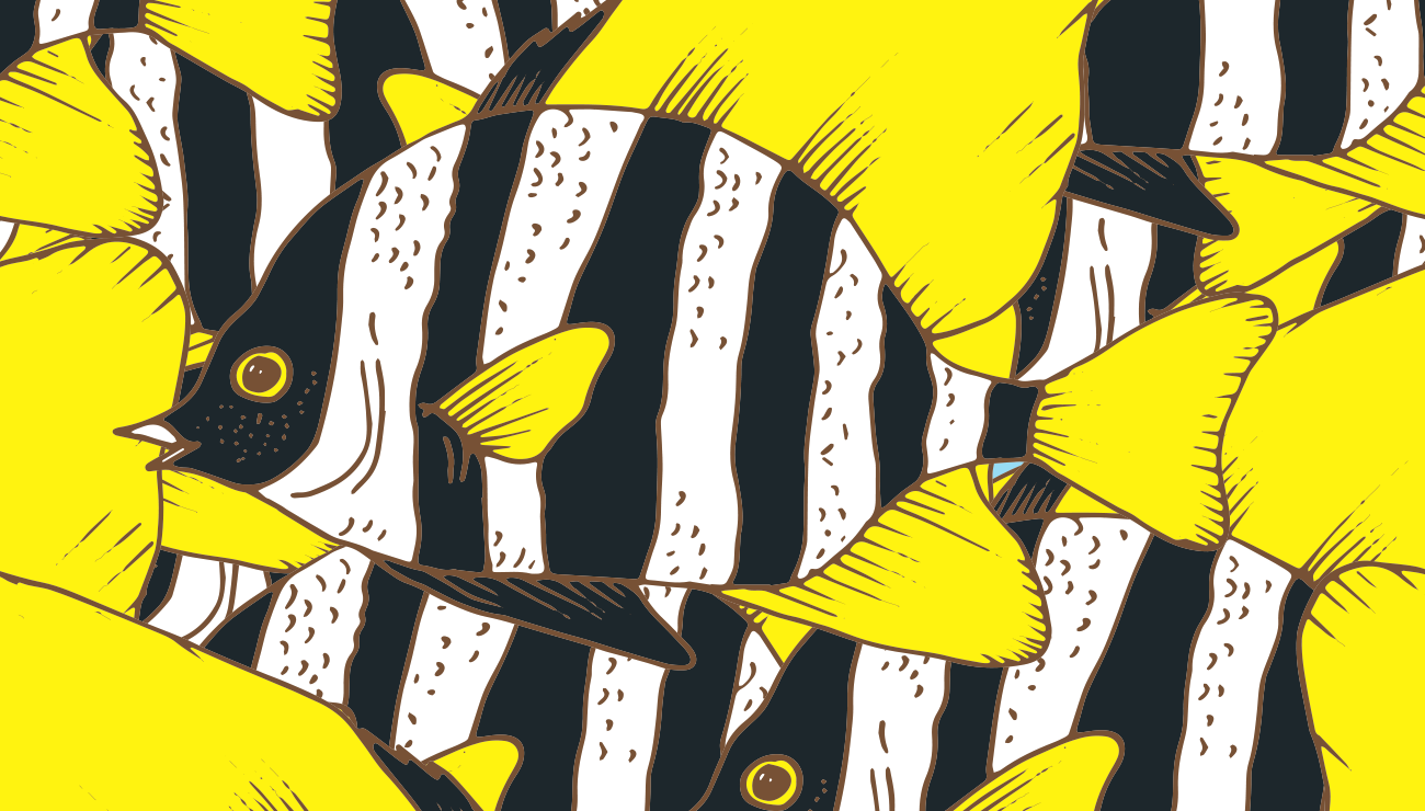 Sudaki Deney Öncüsü Neden Zebra Balıklarıdır?