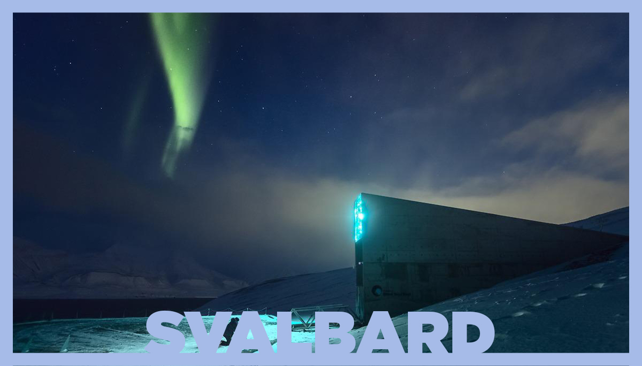 Svalbard Tohum Deposu: Kurtuluş Tohumları mı? Ölüm Tohumları mı?