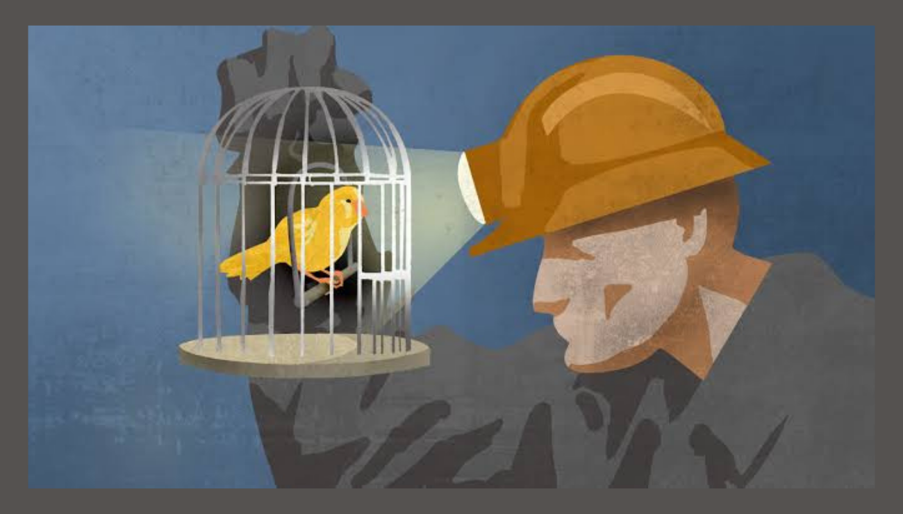 Teknolojik Gelişmelerin Önemini Gösteren Bir Ortaklık: Madenciler ve Kanarya Kuşları