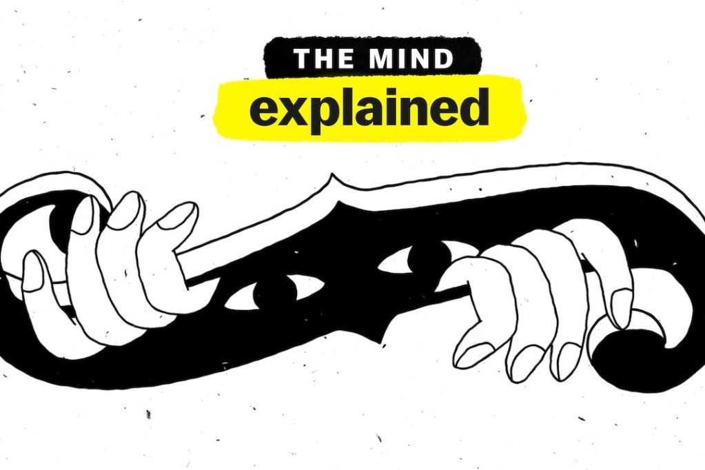 1 Saat 40 Dakika’da Insan Beyni: The Mind, Explained.