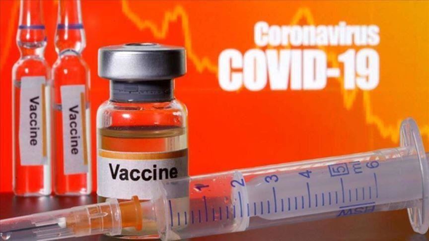 Covid-19 Aşısı Coronavac  