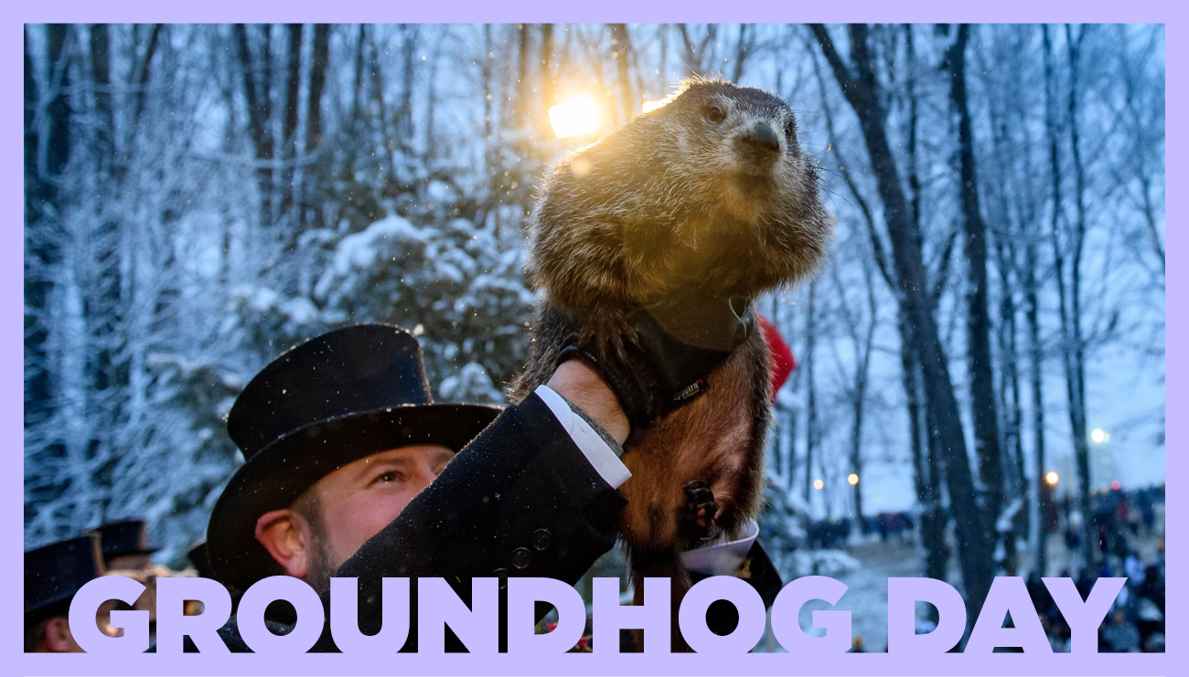 İlginç Bir Gelenek: Groundhog Day