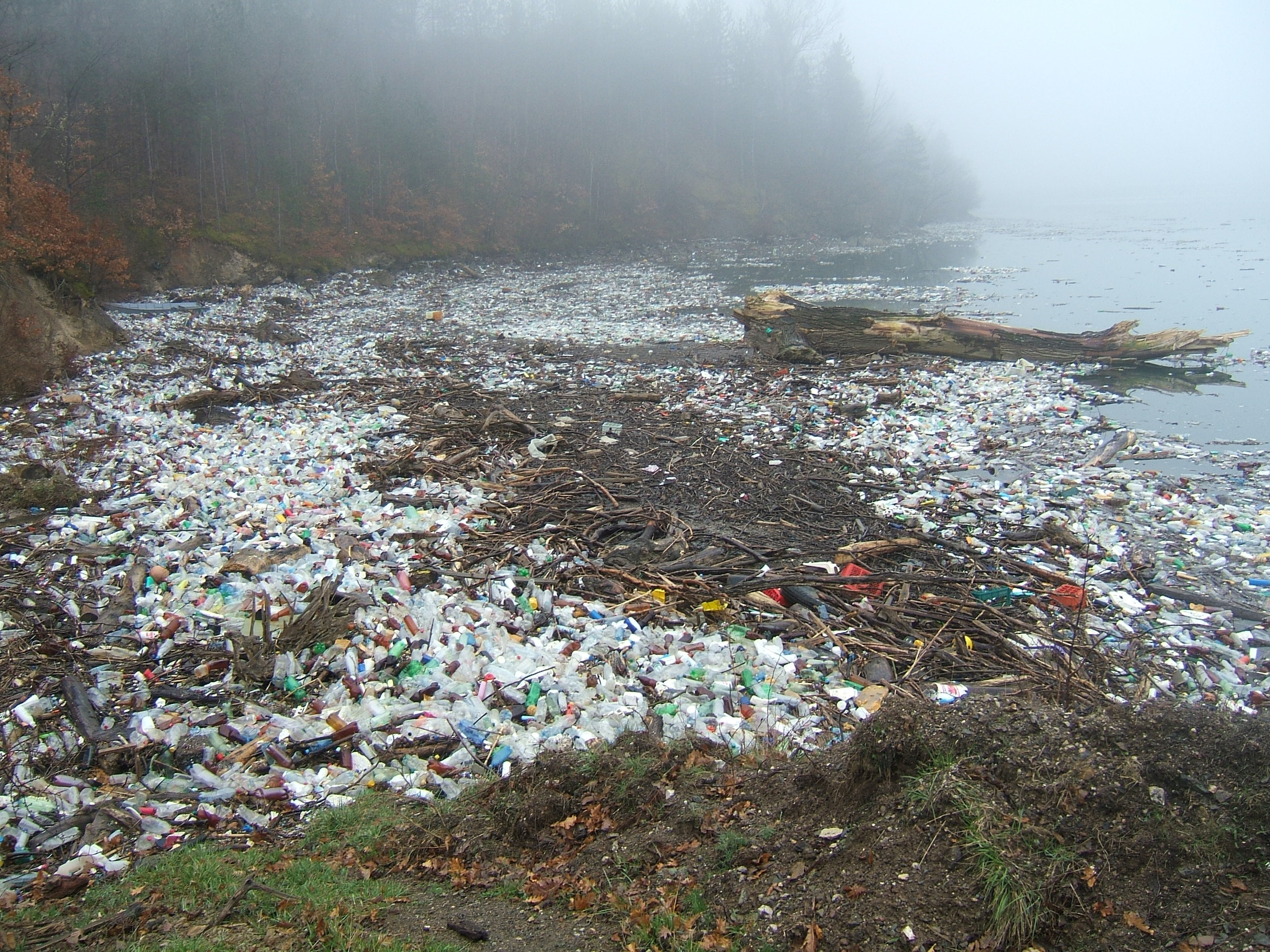 Büyüyen Kriz: Plastikler